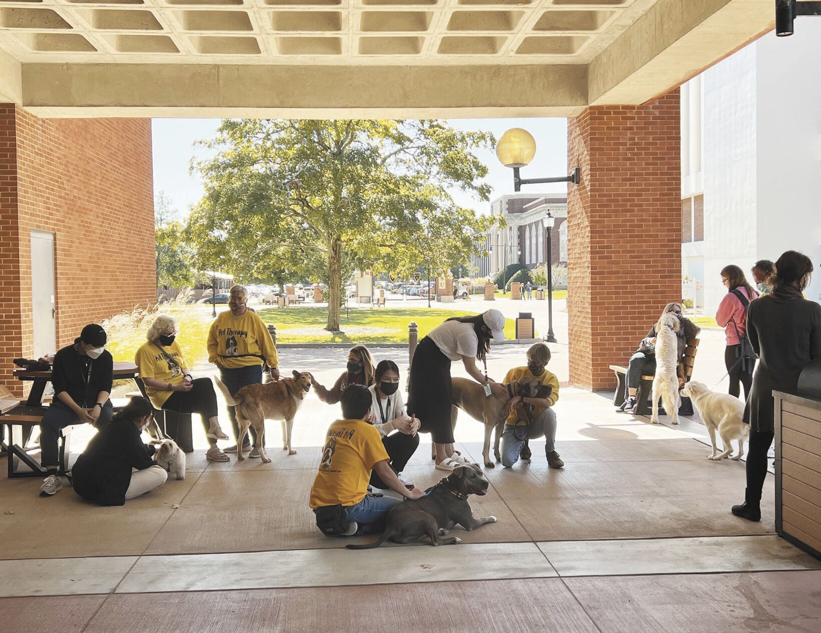 Pet Therapy helps students destress